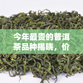 今年最贵的普洱茶品种揭晓，价格令人惊叹！