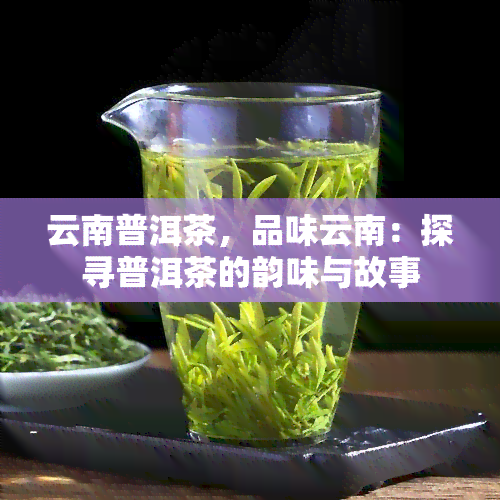 云南普洱茶，品味云南：探寻普洱茶的韵味与故事