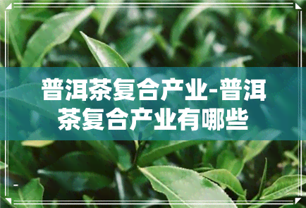 普洱茶复合产业-普洱茶复合产业有哪些