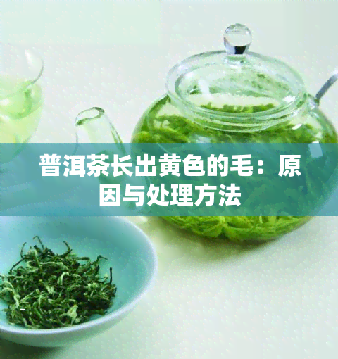 普洱茶长出黄色的毛：原因与处理方法