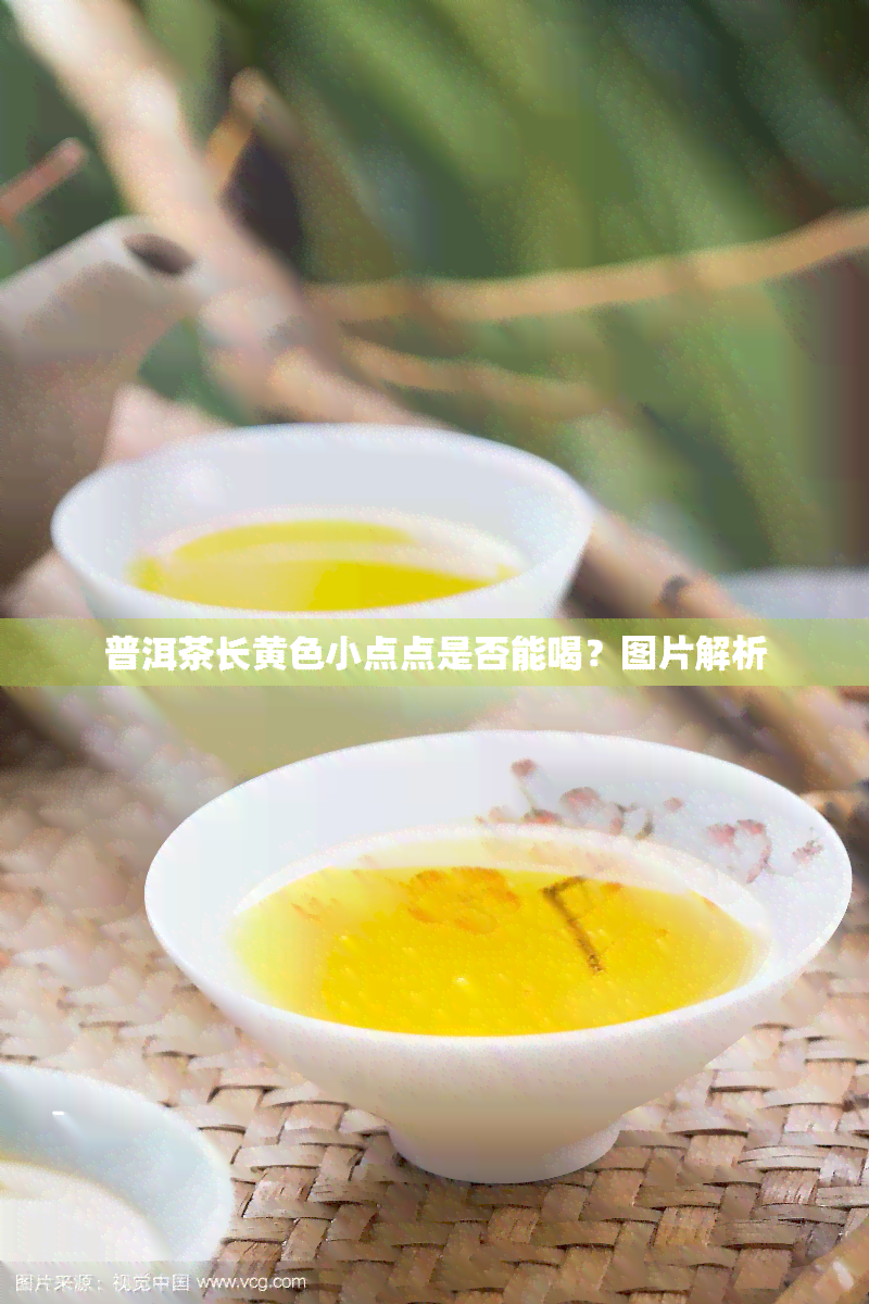 普洱茶长黄色小点点是否能喝？图片解析