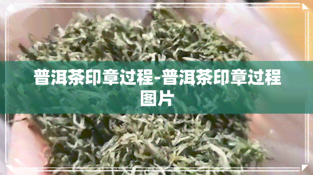 普洱茶印章过程-普洱茶印章过程图片