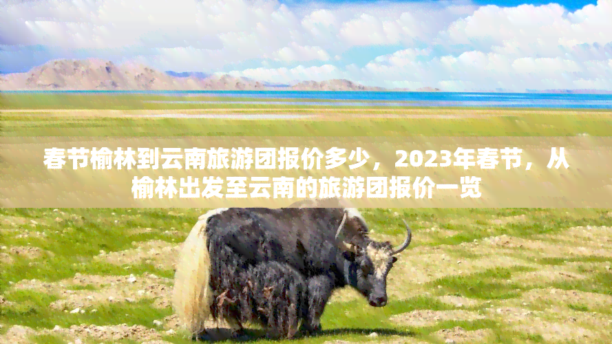 春节榆林到云南旅游团报价多少，2023年春节，从榆林出发至云南的旅游团报价一览