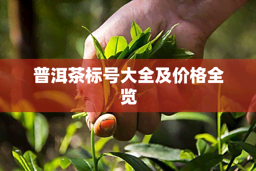 普洱茶标号大全及价格全览