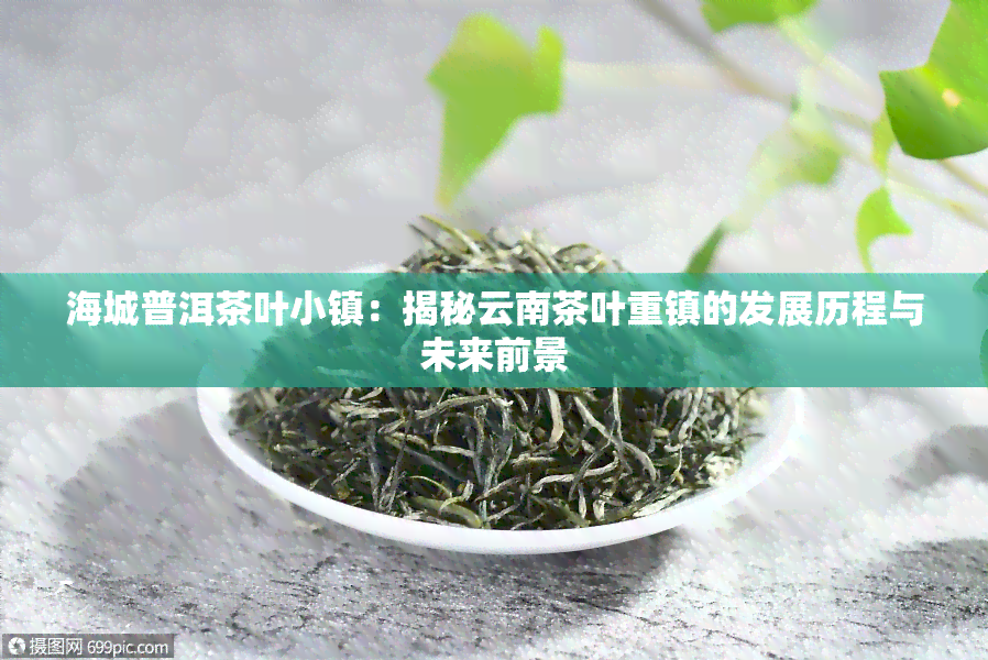 海城普洱茶叶小镇：揭秘云南茶叶重镇的发展历程与未来前景