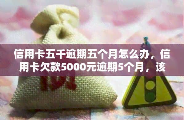 信用卡五千逾期五个月怎么办，信用卡欠款5000元逾期5个月，该如何解决？