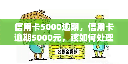 信用卡5000逾期，信用卡逾期5000元，该如何处理？