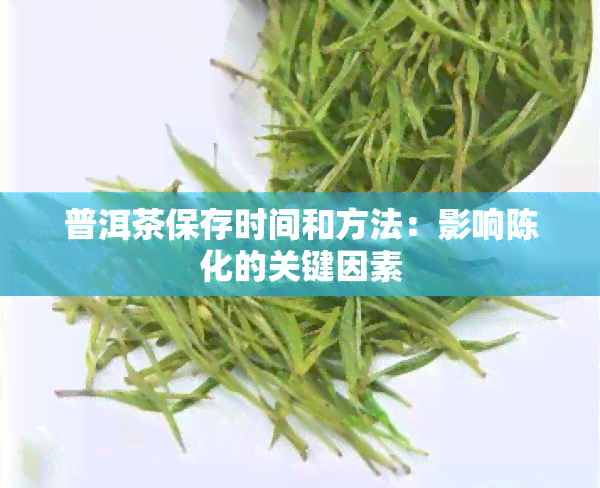 普洱茶保存时间和方法：影响陈化的关键因素