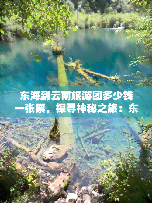 东海到云南旅游团多少钱一张票，探寻神秘之旅：东海至云南旅游团的门票价格全览