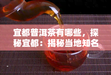 宜都普洱茶有哪些，探秘宜都：揭秘当地知名普洱茶！