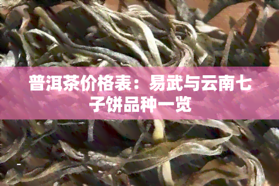 普洱茶价格表：易武与云南七子饼品种一览