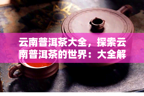 云南普洱茶大全，探索云南普洱茶的世界：大全解析