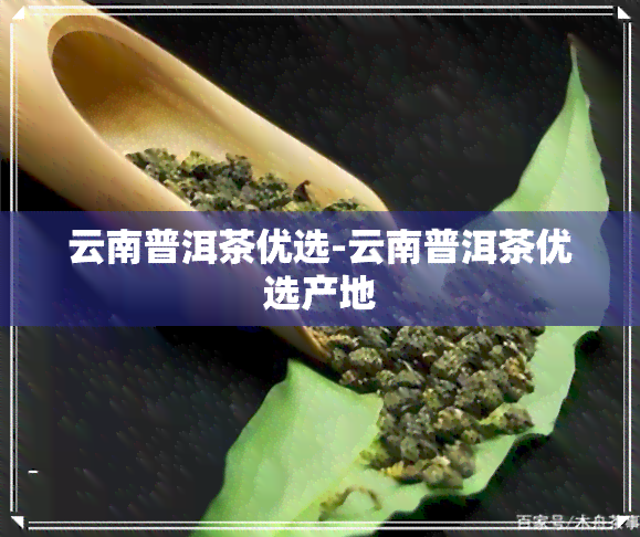 云南普洱茶优选-云南普洱茶优选产地