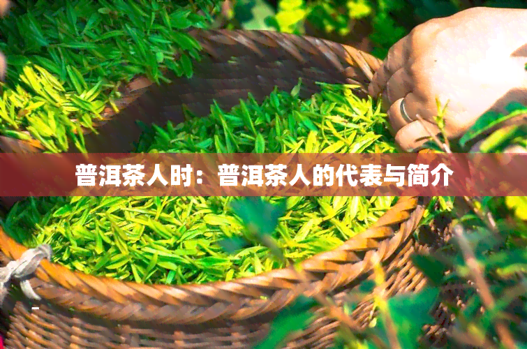 普洱茶人时：普洱茶人的代表与简介