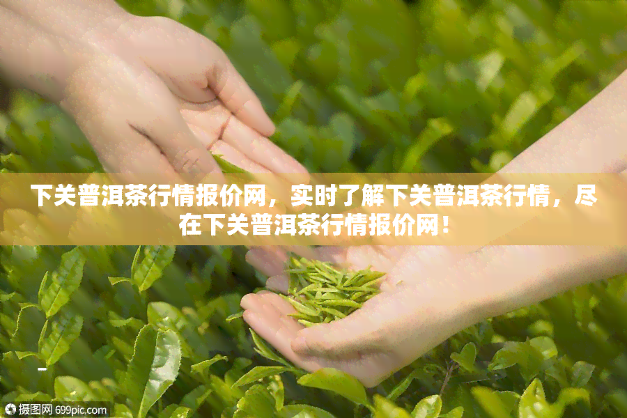 下关普洱茶行情报价网，实时了解下关普洱茶行情，尽在下关普洱茶行情报价网！