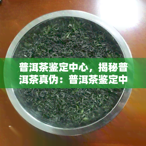 普洱茶鉴定中心，揭秘普洱茶真伪：普洱茶鉴定中心的权威解读与使用指南