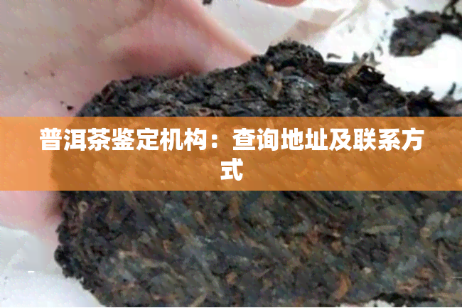 普洱茶鉴定机构：查询地址及联系方式