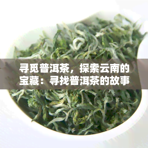 寻觅普洱茶，探索云南的宝藏：寻找普洱茶的故事