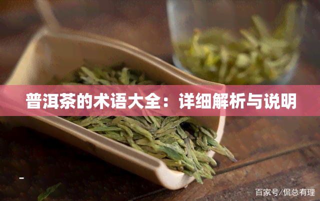 普洱茶的术语大全：详细解析与说明