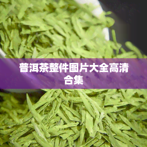 普洱茶整件图片大全高清合集