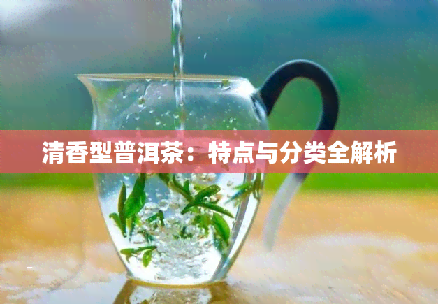 清香型普洱茶：特点与分类全解析