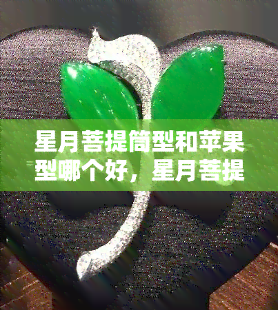 星月菩提筒型和苹果型哪个好，星月菩提：筒型与苹果型，哪个更适合你？