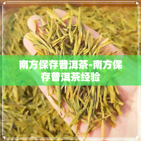 南方保存普洱茶-南方保存普洱茶经验