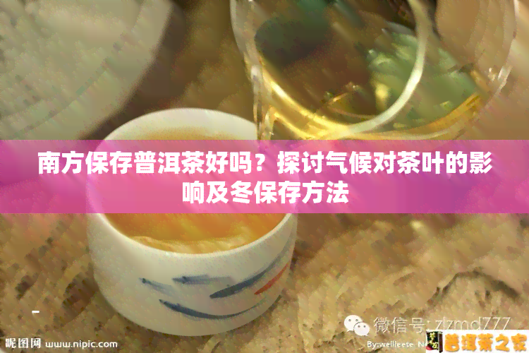 南方保存普洱茶好吗？探讨气候对茶叶的影响及冬保存方法