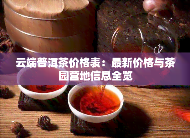 云端普洱茶价格表：最新价格与茶园营地信息全览