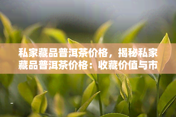 私家藏品普洱茶价格，揭秘私家藏品普洱茶价格：收藏价值与市场价格的较量