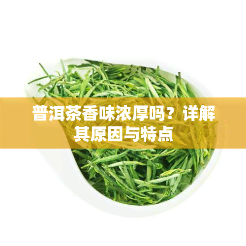 普洱茶香味浓厚吗？详解其原因与特点