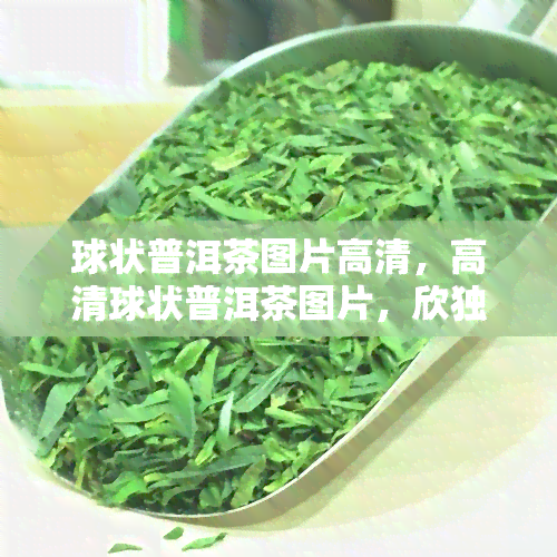 球状普洱茶图片高清，高清球状普洱茶图片，欣独特的茶叶之美！