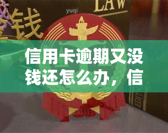 信用卡逾期又没钱还怎么办，信用卡逾期无力偿还？教你解决方法！