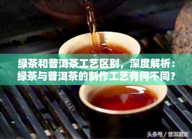 绿茶和普洱茶工艺区别，深度解析：绿茶与普洱茶的制作工艺有何不同？