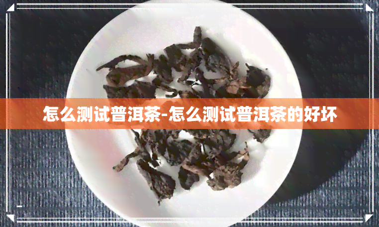 怎么测试普洱茶-怎么测试普洱茶的好坏