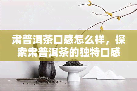 肃普洱茶口感怎么样，探索肃普洱茶的独特口感，一次味蕾的宴