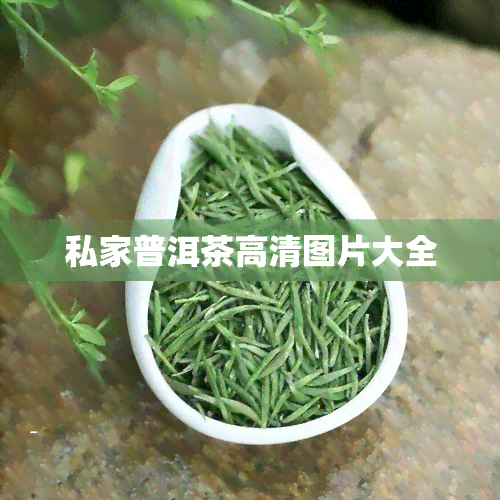 私家普洱茶高清图片大全