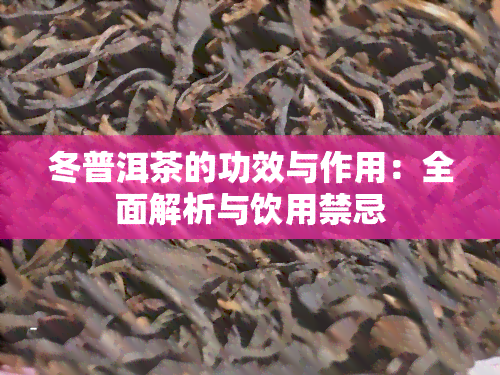 冬普洱茶的功效与作用：全面解析与饮用禁忌