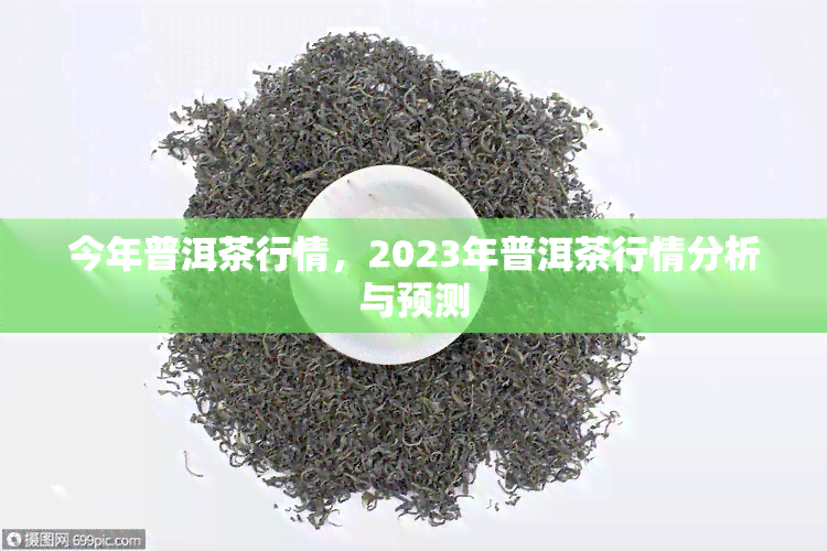 今年普洱茶行情，2023年普洱茶行情分析与预测