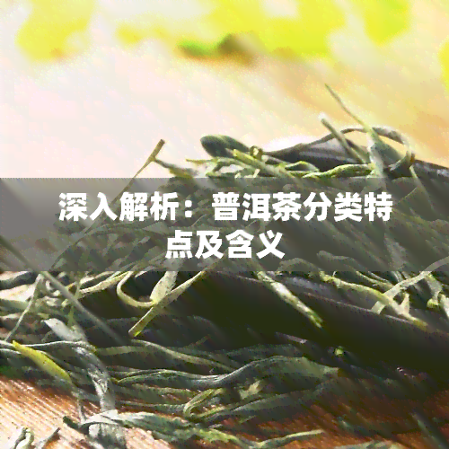 深入解析：普洱茶分类特点及含义