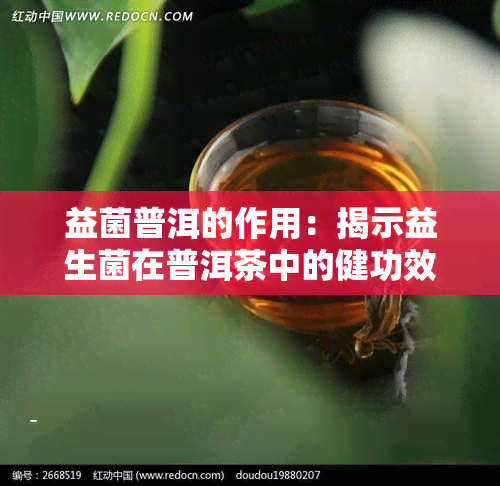 益菌普洱的作用：揭示益生菌在普洱茶中的健功效