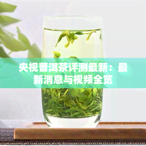 央视普洱茶评测最新：最新消息与视频全览