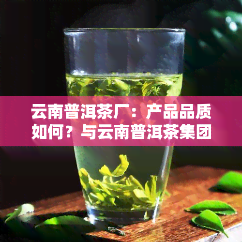 云南普洱茶厂：产品品质如何？与云南普洱茶集团有何区别？