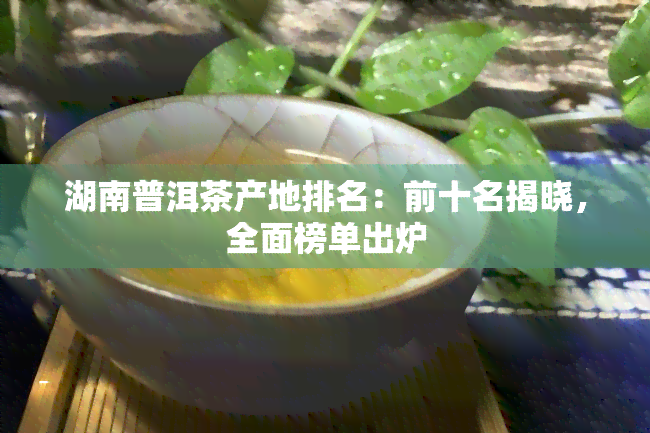 湖南普洱茶产地排名：前十名揭晓，全面榜单出炉