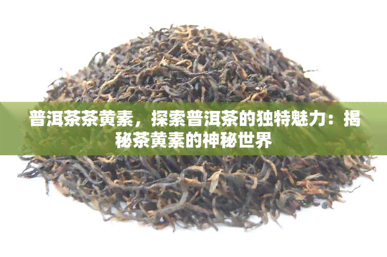 普洱茶茶黄素，探索普洱茶的独特魅力：揭秘茶黄素的神秘世界