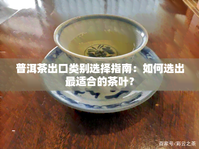 普洱茶出口类别选择指南：如何选出最适合的茶叶？