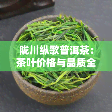 陇川纵歌普洱茶：茶叶价格与品质全面解析