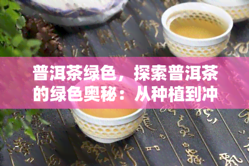 普洱茶绿色，探索普洱茶的绿色奥秘：从种植到冲泡的全过程解析