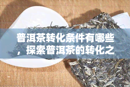 普洱茶转化条件有哪些，探索普洱茶的转化之旅：了解影响其品质的关键条件