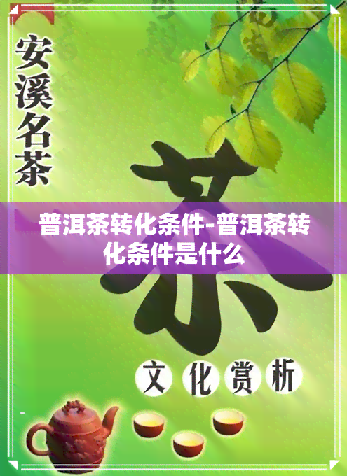 普洱茶转化条件-普洱茶转化条件是什么